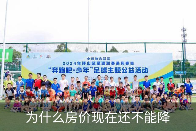 为什么房价现在还不能降